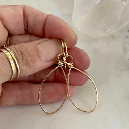 Faceted Loops